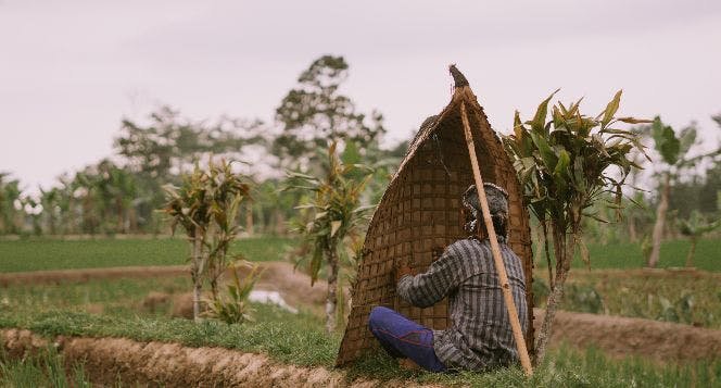 bundengan