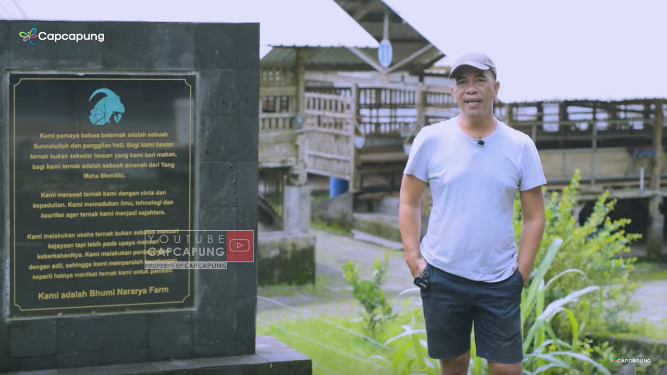 kisah eks manager di bumn jadi peternak kambing