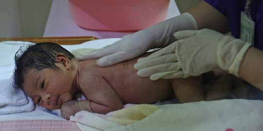 Data 4 Bulan Terakhir: 501.319 Bayi Lahir, 355.332 Orang Meninggal