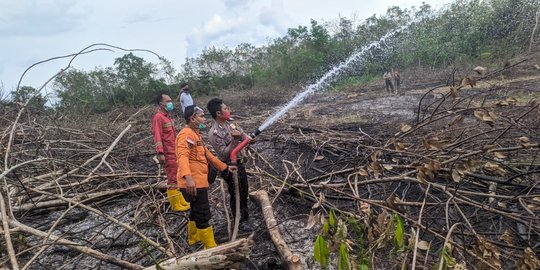 Gubernur Riau Sebut Ada Kepala Desa yang Lambat Merespons Laporan Karhutla