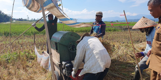 Petani di Solok Keluhkan Kelangkaan Pupuk Subsidi