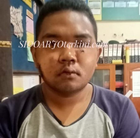 pencuri kotak amal di sidoarjo tertangkap gara gara anjing dekat musala