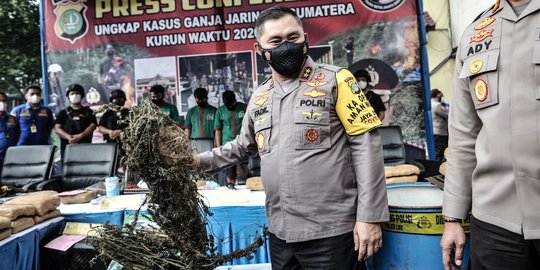 Kapolda Metro Jaya Ungkap Ladang Ganja Seluas 12 Hektare