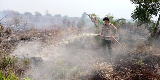 Jambi Siaga Darurat Kebakaran Hutan