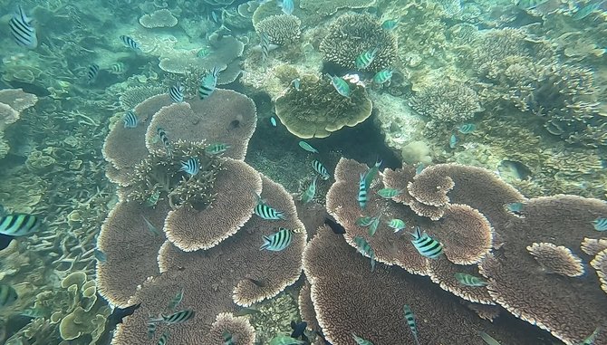 keelokan pulau lengkuas dari mercusuar jaman belanda