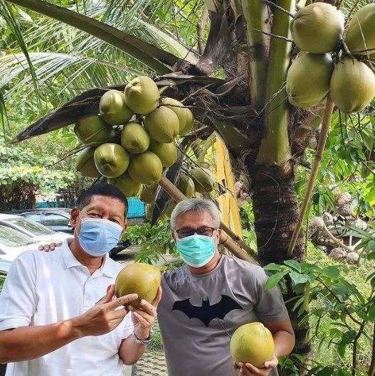 potret jenderal polisi bintang dua panen kacang panjang tetap gagah meski di kebun