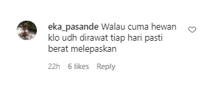 pria nangis kehilangan sapi