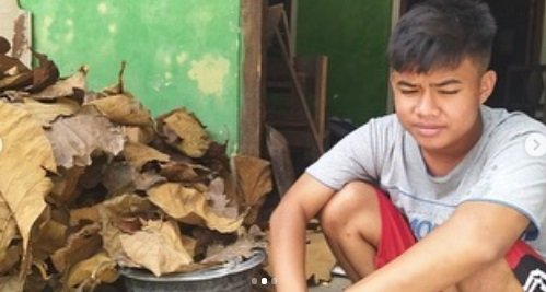 kisah sedih bocah jual daun kering rp400 per kilogram demi bisa terus sekolah
