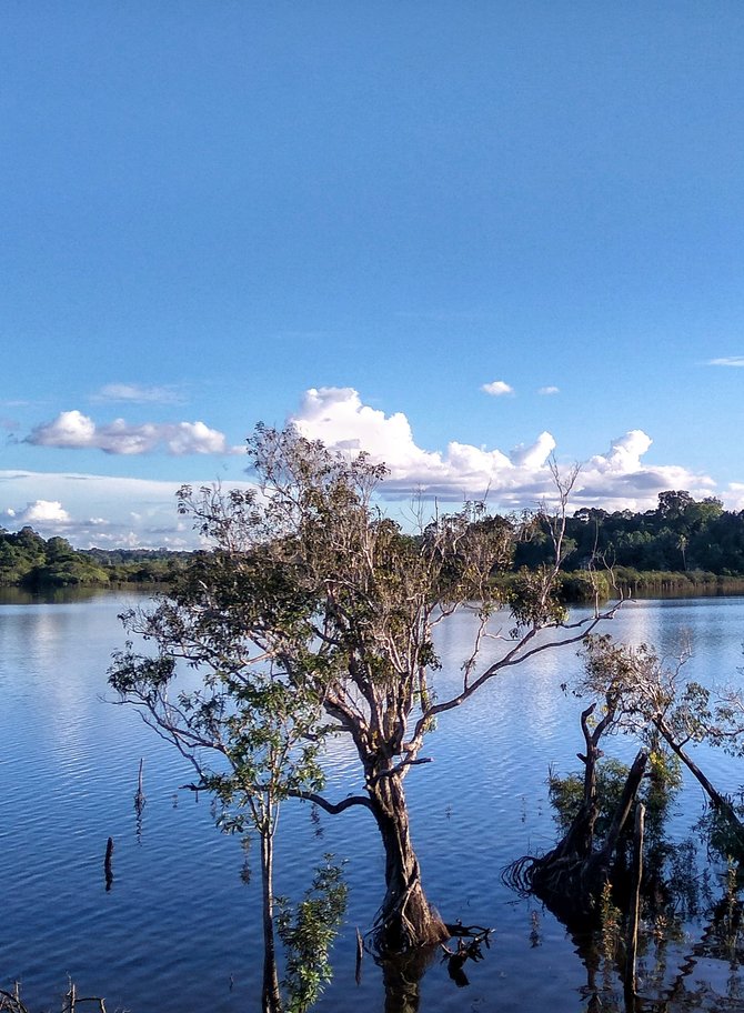 danau laet sanggau keelokan 5 pulau di tengah danau
