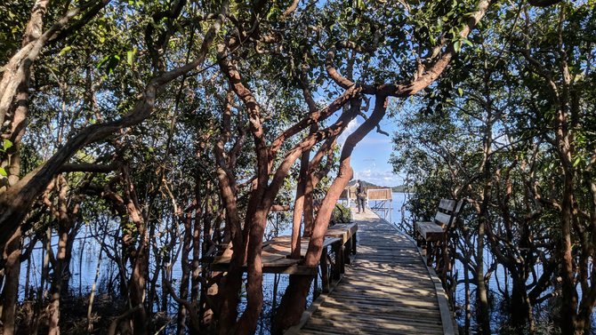 danau laet sanggau keelokan 5 pulau di tengah danau