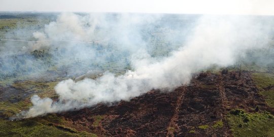 Karhutla di Aceh Barat Meluas Menjadi Enam Hektare