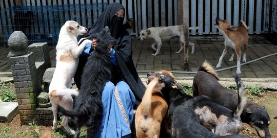 Kisah Wanita Bercadar Jadi Pecinta Anjing di Bogor