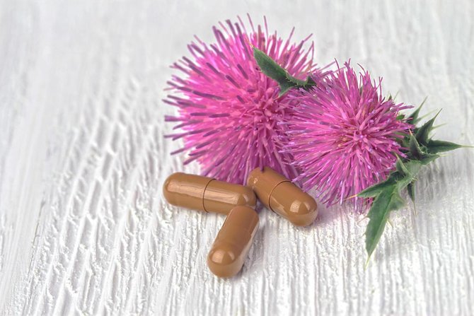 milk thistle mengaktifkan produksi glutathione di dalam tubuh