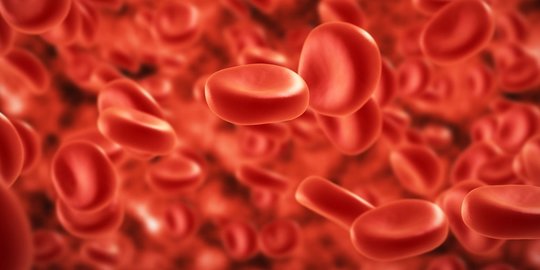 Jenis Penyakit Darah yang Wajib Diketahui, dari Anemia hingga Leukemia