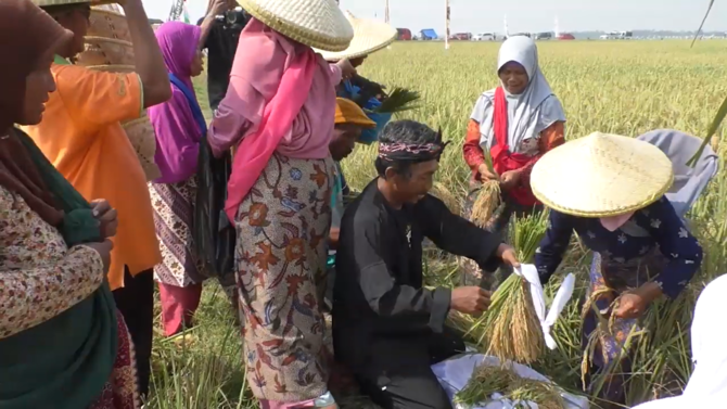 tradisi nyalin di karawang