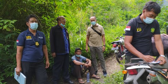 Pencuri Kayu di Hutan Lindung Bali Kelabui Petugas dengan Rumput Gajah