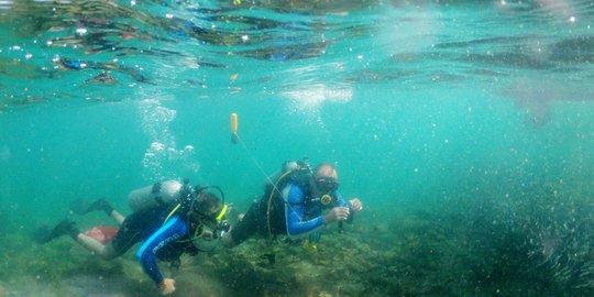 UNDP Gelar Kompetisi Penyelesaian Limbah Plastik di Laut Indonesia, Ini Alasannya