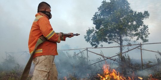 Antisipasi Kebakaran Hutan, Polda Kaltim Luncurkan Aplikasi LembuSwana
