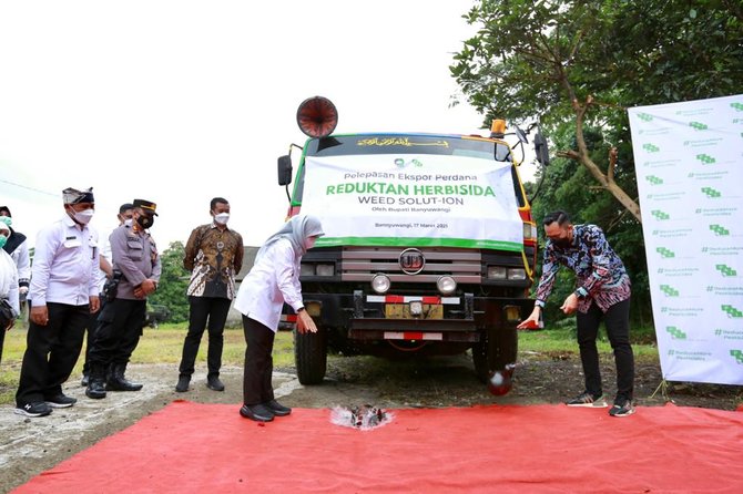 anak muda banyuwangi ekspor produk pereduksi pestisida