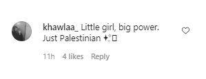 gadis kecil kibarkan bendera palestina