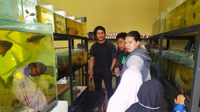 bisnis ikan hias mansyahlan di garut