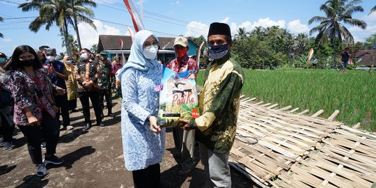 Bupati Ipuk Kembali Ngantor di Desa, Keliling di Lereng Gunung Raung