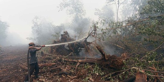 Pemprov Riau Dapat Bantuan 3 Heli dan 2 Pesawat Tanggulangi Karhutla