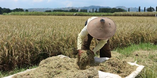 Kementan: Tugas Kami Menjaga Produksi dan Kesejahteraan Petani