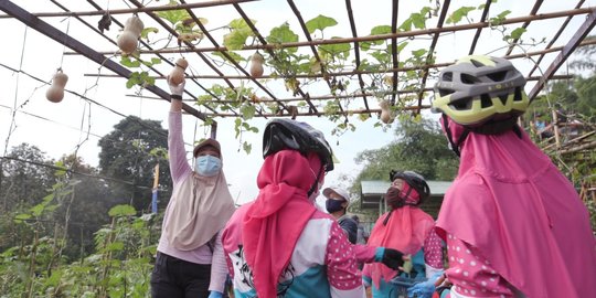 Berani Berubah: Lahan Tani Menjadi Andalan Ketahanan Pangan Warga di Masa Pandemi