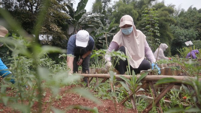 lahan tani di depok