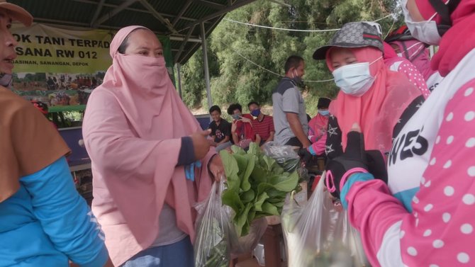 lahan tani di depok