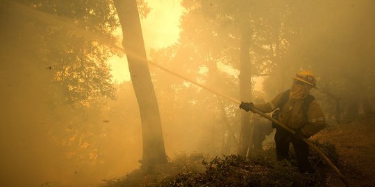 BPBD Catat Kebakaran Hutan dan Lahan di Riau Capai 811,16 Hektare