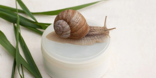 Mengenal Manfaat Snail Mucin, Kandungan Super di Produk Skincare Korea