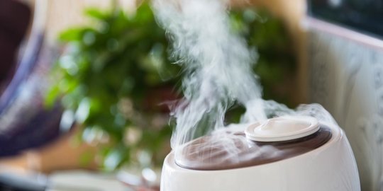 Fungsi Humidifier dalam Ruangan, Ketahui Manfaat dan Cara Kerjanya