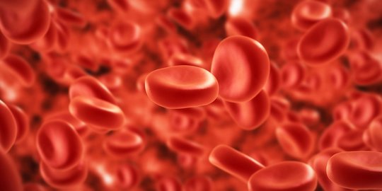 Fungsi Hemoglobin, Struktur, Angka Normal Beserta Penyakit Terkait