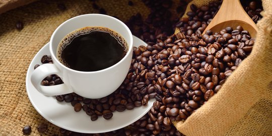 Ingin Kembalikan Kejayaan Kopi Sidikalang, Pemkab Dairi Lakukan Ini