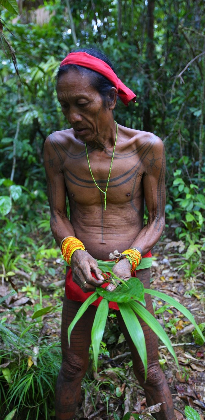 sikerei dokter tradisional suku mentawai dekat dan melekat dengan hutan