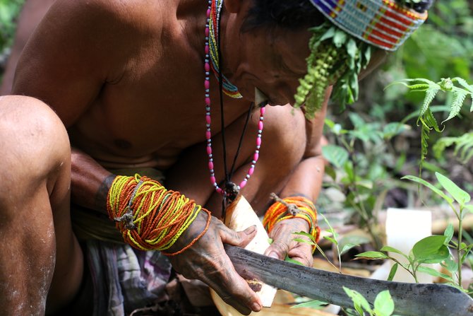 sikerei dokter tradisional suku mentawai dekat dan melekat dengan hutan