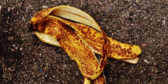 Kandungan Kulit Pisang dan Manfaatnya bagi Kesehatan, Perlu Diketahui