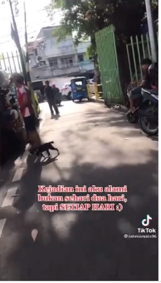 cerita wanita setiap hari alami catcalling