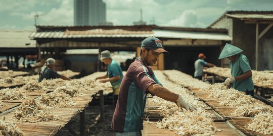 Mengintip Proses Pengolahan Ikan Asin di Muara Angke