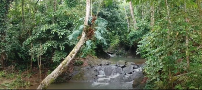 pesona wisata alam batu katak bahorok kabupaten langkat