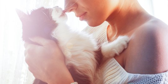 Nyatakan Cinta, Ini Alasan Lain Kucing Suka Menjilat Hidung Pemiliknya