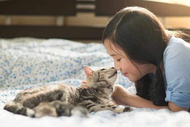 nyatakan cinta ini alasan lain kucing suka menjilat hidung pemiliknya