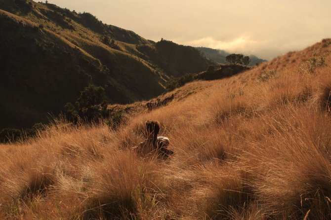 keasyikan mendaki gunung merbabu panoramanya bikin terpana