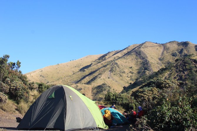 keasyikan mendaki gunung merbabu panoramanya bikin terpana