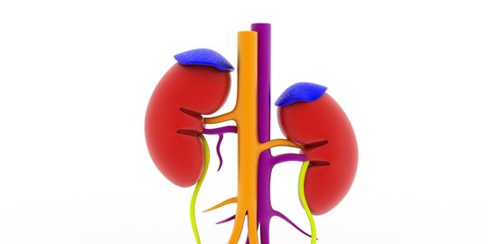 Mengenal Penyakit Addison, Ketahui Penyebab dan Gejalanya
