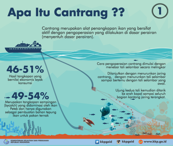 infografis jaring cantrang