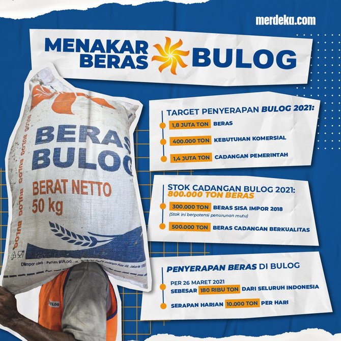 infografis stok beras