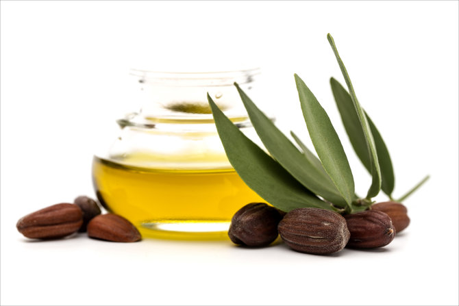 ilustrasi minyak jojoba
